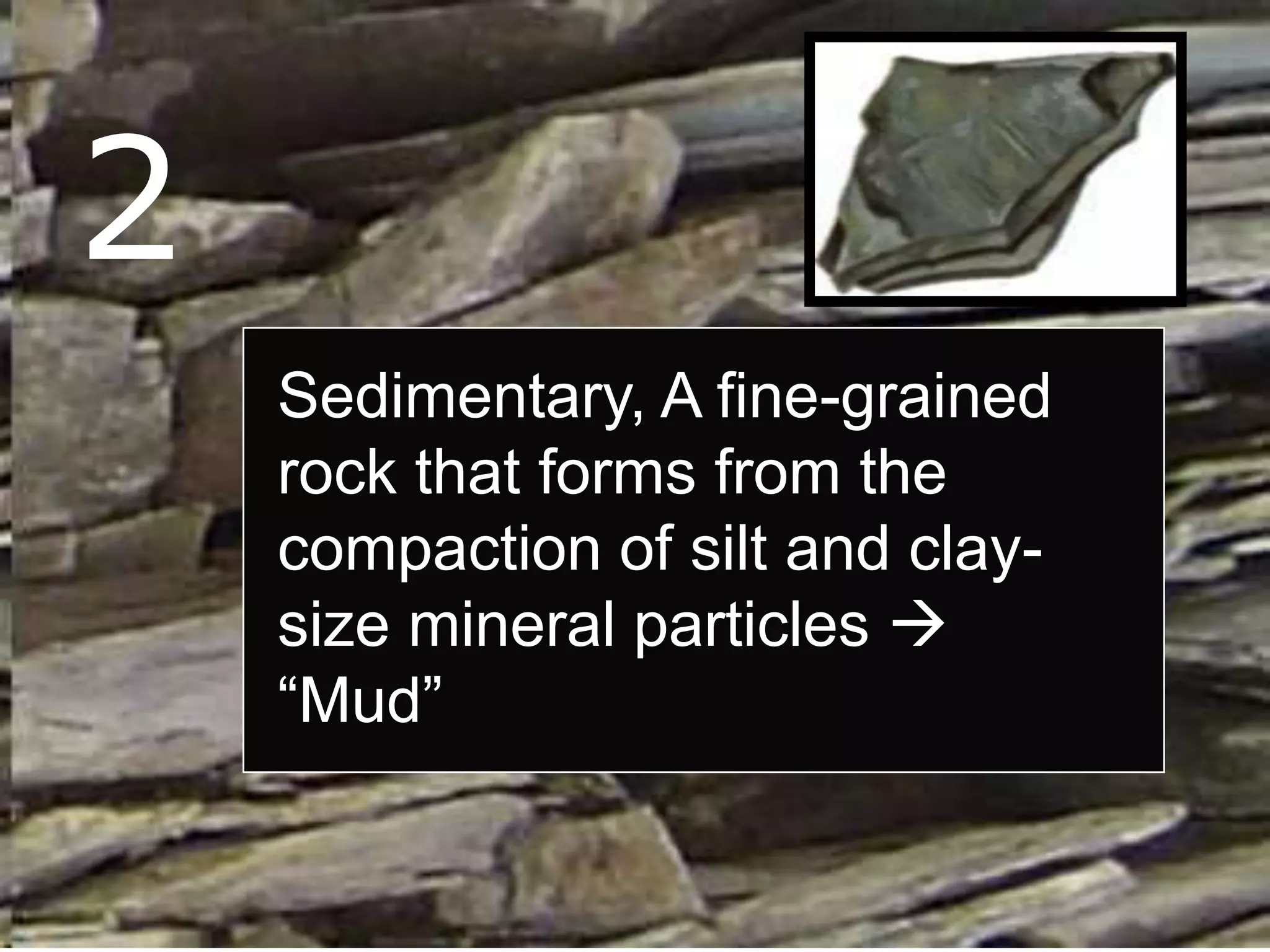 2
Sedimentary, A fine-grained
rock that forms from the
compaction of silt and clay-
size mineral particles 
“Mud”
 
