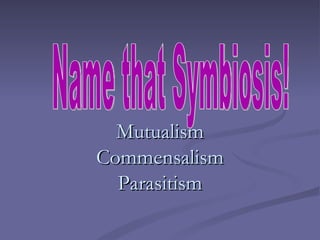 Mutualism Commensalism Parasitism Name that Symbiosis! 