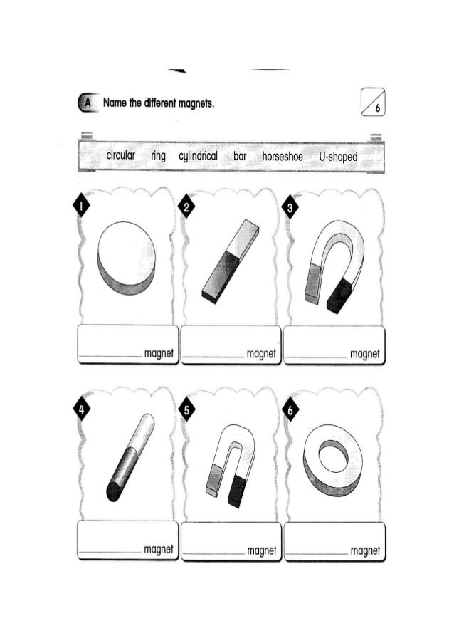 Name The Different Magnets