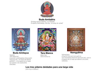 Buda Amitabha
Öd-dpag-med-pa (Öpame), ‘Luz Ilimitada’
El aspecto Dharmakaya, chös-sku, "el cuerpo de verdad”
Buda Amitayus
Tsepame
Tshe-dpag-med
emanación sambhogakaya (long-spyöd-
rdzog-pa’i-sku, "el cuerpo del disfrute
perfecto”), es el aspecto de un Buda
que aparece a los practicantes
avanzados.
Tara Blanca
White Tara
sGrol-ma-lha-mo
Namgyälma
Ushnisavijaya
gTsug-tor-rnam-par-rnam-gyäl-ma
una nirmanakaya femenina (sprul-pa’i-sku), que es
el aspecto de un buda que aparece a los seres
ordinarios.
Los tres yidams deidades para una larga vida
(tshe-ring en tibetano)
 