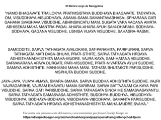 "NAMO BHAGAVATE TRAILOKYA PRATIVISISTAYA BUDDHAYA BHAGAVATE. TADYATHA,
OM, VISUDDHAYA-VISUDDHAYA, ASAMA-SAMA SAMANTAVABHASA- SPHARANA GATI
GAHANA SVABHAVA VISUDDHE, ABHINSINCATU MAM. SUGATA VARA VACANA AMRTA
ABHISEKAI MAHA MANTRA-PADAI. AHARA-AHARA AYUH SAM-DHARANI. SODHAYA-
SODHAYA, GAGANA VISUDDHE. USNISA VIJAYA VISUDDHE. SAHASRA-RASMI,  

 

SAMCODITE, SARVA TATHAGATA AVALOKANI, SAT-PARAMITA, PARIPURANI, SARVA
TATHAGATA MATI DASA-BHUMI, PRATI-STHITE, SARVA TATHAGATA HRDAYA
ADHISTHANADHISTHITA MAHA-MUDRE. VAJRA KAYA, SAM-HATANA VISUDDHE.
SARVAVARANA APAYA DURGATI, PARI-VISUDDHE, PRATI-NIVARTAYA AYUH SUDDHE.
SAMAYA ADHISTHITE. MANI-MANI MAHA MANI. TATHATA BHUTAKOTI PARISUDDHE.
VISPHUTA BUDDHI SUDDHE.

JAYA-JAYA, VIJAYA-VIJAYA, SMARA-SMARA. SARVA BUDDHA ADHISTHITA SUDDHE. VAJRI
VAJRAGARBHE, VAJRAM BHAVATU MAMA SARIRAM. SARVA SATTVANAM CA KAYA PARI
VISUDDHE. SARVA GATI PARISUDDHE. SARVA TATHAGATA SINCA ME SAMASVASAYANTU.
SARVA TATHAGATA SAMASVASA ADHISTHITE, BUDDHYA-BUDDHYA, VIBUDDHYA-
VIBUDDHYA, BODHAYA-BODHAYA, VIBODHAYA-VIBODHAYA. SAMANTA PARISUDDHE.
SARVA TATHAGATA HRDAYA ADHISTHANADHISTHITA MAHA-MUDRE SVAHA."
El Mantra Largo de Namgyälma
Encuentra una pronunciación del mantra y una transmisión por Jetsun Choekyi Gonpo en:
https://drukpachoegon.org/dechenchoekhorgrandpuja/specialnamgyaltongchod-fjacm
 