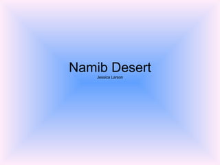 Namib Desert Jessica Larson 