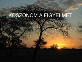 KÖSZÖNÖM A FIGYELMET! 