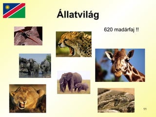 Állatvilág 620 madárfaj !! 