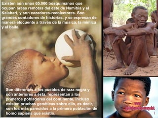 Existen aún unos 65.000 bosquimanos que
ocupan áreas remotas del este de Namibia y el
Kalahari, y son cazadores-recolectores. Son
grandes contadores de historias, y se expresan de
manera elocuente a través de la música, la mímica
y el baile.




  Son diferentes a los pueblos de raza negra y
  son anteriores a ésta, representan a los
  primeros pobladores del continente, incluso
  existen pruebas genéticas sobre ello, es decir,
  son los más parecidos a la primera población de
  homo sapiens que existió.
 