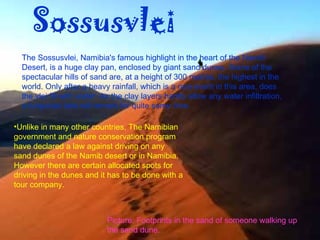 Sossusvlei   The Sossusvlei, Namibia's famous highlight in the heart of the Namib Desert, is a huge clay pan, enclosed by giant sand dunes .  Some of the spectacular hills of sand are, at a height of 300 metres, the highest in the world .  Only after a heavy rainfall, which is a rare event in this area, does the vlei fill with water .  As the clay layers hardly allow any water infiltration, a turquoise lake will remain for quite some time . Picture: Footprints in the sand of someone walking up the sand dune. Unlike in many other countries, The Namibian government and nature conservation program have declared a law against driving on any sand dunes of the Namib desert or in Namibia. However there are certain allocated spots for driving in the dunes and it has to be done with a tour company.  