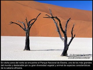 En dicha zona del norte se encuentra el Parque Nacional de Etosha, uno de los más grandes del mundo y destacable por su gran diversidad vegetal y animal de especies características de la sabana africana. 