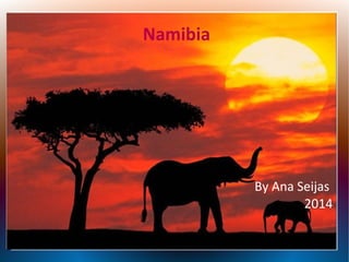 Namibia

By Ana Seijas
2014

 