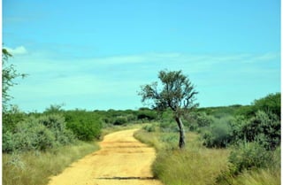 Namibia