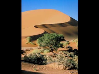 Namibia Bostwana