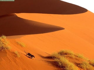 Namibia Bostwana