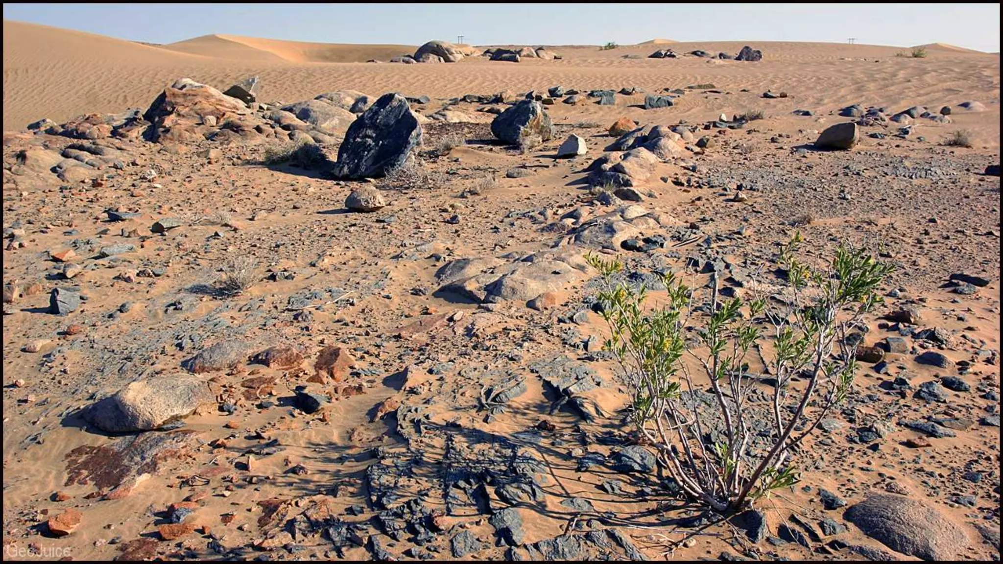 ALL ABOUT NAMIBIA visual data 8