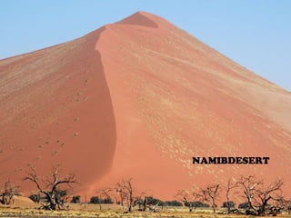 NAMIBDESERT