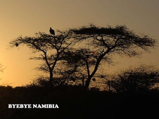 BYEBYE NAMIBIA