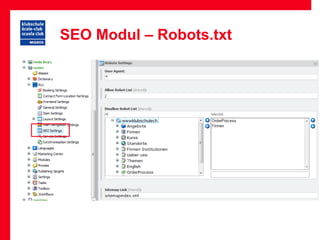 SEO Modul – Robots.txt
 