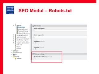 SEO Modul – Robots.txt
 
