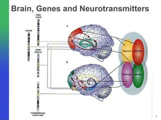Brain, Genes and Neurotransmitters




                                     7
 