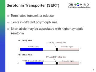 o Terminates transmitter release

o Exists in different polymorphisms

o Short allele may be associated with higher synaptic
  serotonin




                                                        8
 