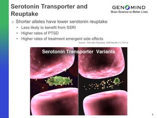o Shorter alleles have lower serotonin reuptake
  • Less likely to benefit from SSRI
  • Higher rates of PTSD
  • Higher rates of treatment emergent side effects
                                     Source:. Arch Gen Psychiatry. 2009 Nov;66 (11):1201-9.




                                                                                              9
 