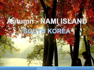 Autumn - NAMI ISLAND  SOUTH KOREA http://my.opera.com/bachkien http://my.opera.com/vinhbinhpro 22-Sep-10 1 