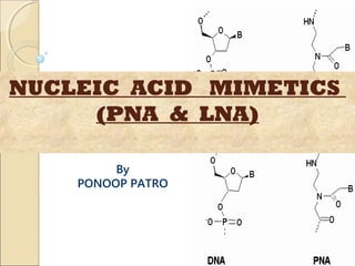 NUCLEIC ACID MIMETICS 
(PNA & LNA) 
By 
Amit Patro 
 