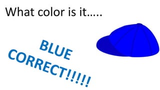 What color is it…..