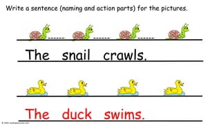 Write a sentence (naming and action parts) for the pictures.
The snail crawls.
The duck swims.© 2020 reading2success.com
 