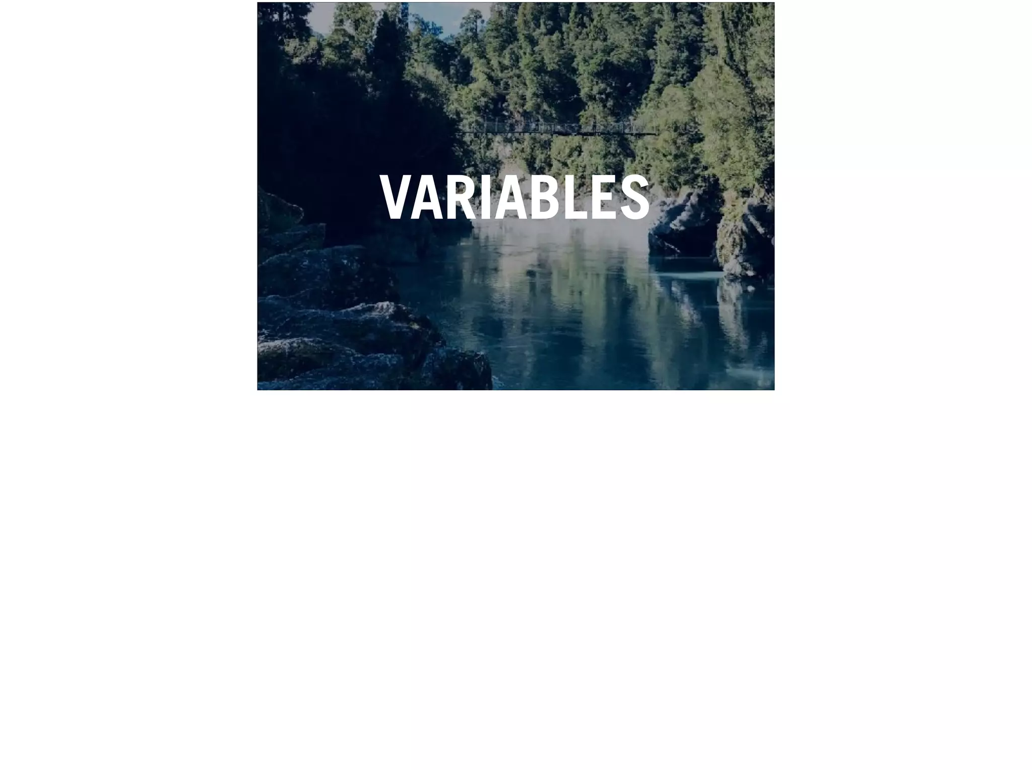 VARIABLES
 