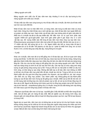 - Màng nguyên sinh chất

Màng nguyên sinh chất của tế bào nấm men dày khoảng 8 nm có cấu tạo tương tự như
màng nguyên sinh chất của vi khuẩn.

Tế bào chất của nấm men cũng tương tự như tế bào chất của vi khuẩn, độ nhớt của tế bào chất
cao hơn của nước 800 lần.

Nhân tế bào nấm men là nhân điển hình, có màng nhân, bên trong là chất dịch nhân có chứa
hạch nhân. Cũng như nhân tế bào của vi sinh vật bậc cao, nhân tế bào nấm men ngoài AND còn
có protein và nhiều loại men. Hạch nhân của tế bào nấm men không phải chỉ gồm một phân tử
AND như ở vi khuẩn mà đã có cấu tạo nhiễm sắc thể điển hình và có quá trình phân bào
 nguyên nhiễm còn gọi là gián phân. Quá trình gián phân gồm 4 giai đoạn như ở vi sinh
 vật bậc cao. Số lượng nhiễm sắc thể trong tế bào nấm men khác nhau tuỳ loại nấm men.
ỞSaccharomyces serevisiae là nhóm nấm men phân bố rộng rãi nhất, thể đơn bội của nó có n =
17 nhiễm sắc thể, thể lưỡng bội có 2n = 34. Ngoài nhiễm sắc thể ra, trong nhân tế bào S.
serevisiae còn có từ 50 đến 100 plasmic có cấu tạo là 1 phân tử AND hình vòng kín có kích
thước 2 mm, có khả năng sao chép độc lập, mang thông tin di truyền.

- Ty thể:

Khác với vi khuẩn, nấm men đã có ty thể giống như ở tế bào bậc cao, đó là cơ quan sinh năng
lượng của tế bào. Ty thể nấm men có hình bầu dục, được bao bọc bởi hai lớp màng, màng trong
gấp khúc thành nhiều tấm răng lược hợc nhiều ống nhỏ làm cho diện tích bề mặt của màng trong
tăng lên. Cấu trúc của hai lớp màng ty thể giống cấu trúc của màng nguyên sinh chất. Trên bề
mặt của màng trong có dính vô số các hạt nhỏ hình cầu. Các hạt này có chức năng sinh năng
lượng và giải phóng năng lượng của ty thể. Trong ty thể còn có một phân tử AND có cấu trúc
hình vòng, có khả năng tự sao chép. Những đột biến tạo ra tế bào nấm men không có AND
ty thể làm cho tế bào nấm men phát triển rất yếu, khuẩn lạc nhỏ bé. Trong ty thể còn có cả các
thành phần cần cho quá trình tổng hợp protein như riboxom, các loại ARN và các loại enzym
 cần thiết cho sự tổng hợp protein. Các thành phẩn này không giống với các thành phần
tương tự của tế bào nấm men nhưng lại rất giống của vi khuẩn. AND của ty thể rất nhỏ nên chỉ
có thể mang mật mã tổng hợp cho một số protein của ty thể, số còn lại do tế bào tổng hợp rồi
đưa vào ty thể. Người ta đã chứng minh được quá trình tự tổng hợp protein của ty thể. Quá trình
này bị kìm hãm bởi cloramfenicol giống như ở vi khuẩn, trong khi đó chất kháng sinh này không
kìm hãm được quá trình tổng hợp protein ở tế bào nấm men.

- Riboxom của tế bào nấm men có hai loại : loại 80S gồm 2 tiểu thể 60S và 40S nằm trong tế bào
chất, một số khác gắn với màng tế bào chất. Một số nghiên cứu đã chứng minh rằng: các
riboxom gắn với màng tế bào chất có hoạt tính tổng hợp protein cao hơn. loại 70S là loại riboxom
có trong ti thể.

Ngoài các cơ quan trên, nấm men còn có không bào và các hạt dự trữ như hạt Volutin, hạt này
không những mang vai trò chất dự trữ mà còn dùng làm nguồn năng lượng cho nhiều quá trình
sinh hoá học của tế bào. Ngoài hạt Volutin trong tế bào còn có các hạt dự trữ khác như glycogen
và lipit. Một số nấm men có khả năng hình thành một lượng lớn lipit.
 