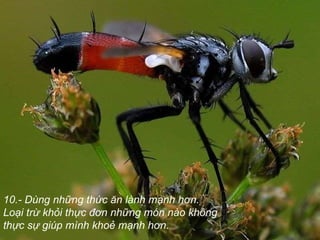 10.- Dùng những thức ăn lành mạnh hơn.  Loại trừ khỏi thực đơn những món nào không thực sự giúp mình khoẻ mạnh hơn.  