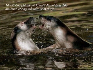 14.- Không phí thì giờ lo nghĩ đến những điều mà mình không thể kiểm soát được.   