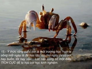 15.- Ý thức rằng cuộc đời là một trường học – và ta sống mỗi ngày là để học tập, dù cho ngày ấy có vui hay buồn, tốt hay xấu... Lúc nào cũng có một điều TÍCH CỰC để ta học bài học kinh nghiệm. 
