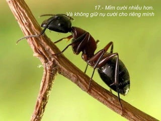 17.- Mỉm cười nhiều hơn.  Và không giữ nụ cười cho riêng mình   