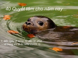 40 Quyết tâm cho năm nay... Mỗi ngày đi bộ từ 10 đến 30 phút –  và trong khi đi thì MỈM CƯỜI.     