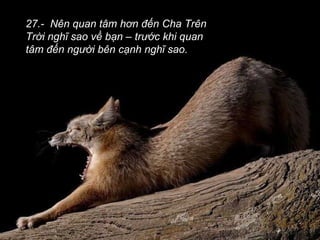 27.-  Nên quan tâm hơn đến Cha Trên Trời nghĩ sao về bạn – trước khi quan tâm đến người bên cạnh nghĩ sao. 