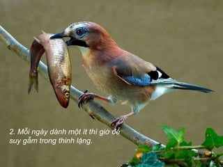 2. Mỗi ngày dành một ít thì giờ để suy gẫm trong thinh lặng. 