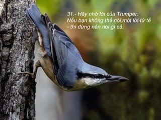 31.- Hãy nhớ lời của Trumper:  Nếu bạn không thể nói một lời tử tế - thì đừng nên nói gì cả.  