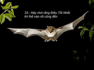 33.- Hãy nhớ rằng Điều Tốt Nhất thì thế nào rồi cũng đến . 