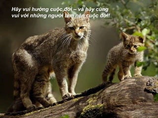 Hãy vui hưởng cuộc đời – và hãy cùng vui với những người làm nên cuộc đời! 