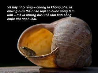 Và hãy nhớ rằng – chúng ta không phải là những hữu thể nhân loại có cuộc sống tâm linh – mà là những hữu thể tâm linh sống cuộc đời nhân loại.  