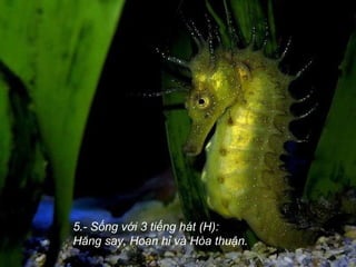 5.- Sống với 3 tiếng hát (H):  Hăng say, Hoan hỉ và Hòa thuận.  