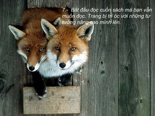 7.-  Bắt đầu đọc cuốn sách mà bạn vẫn muốn đọc. Trang bị trí óc với những tư tưởng nâng cao mình lên.   