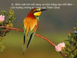 8.- Nhìn mặt trời mỗi sáng và nhìn trăng sao mỗi đêm –Vui hưởng những kỳ công của Thiên Chúa.  