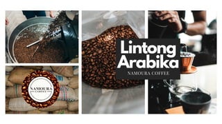 Lintong
Arabika
NAMOURA COFFEE
 