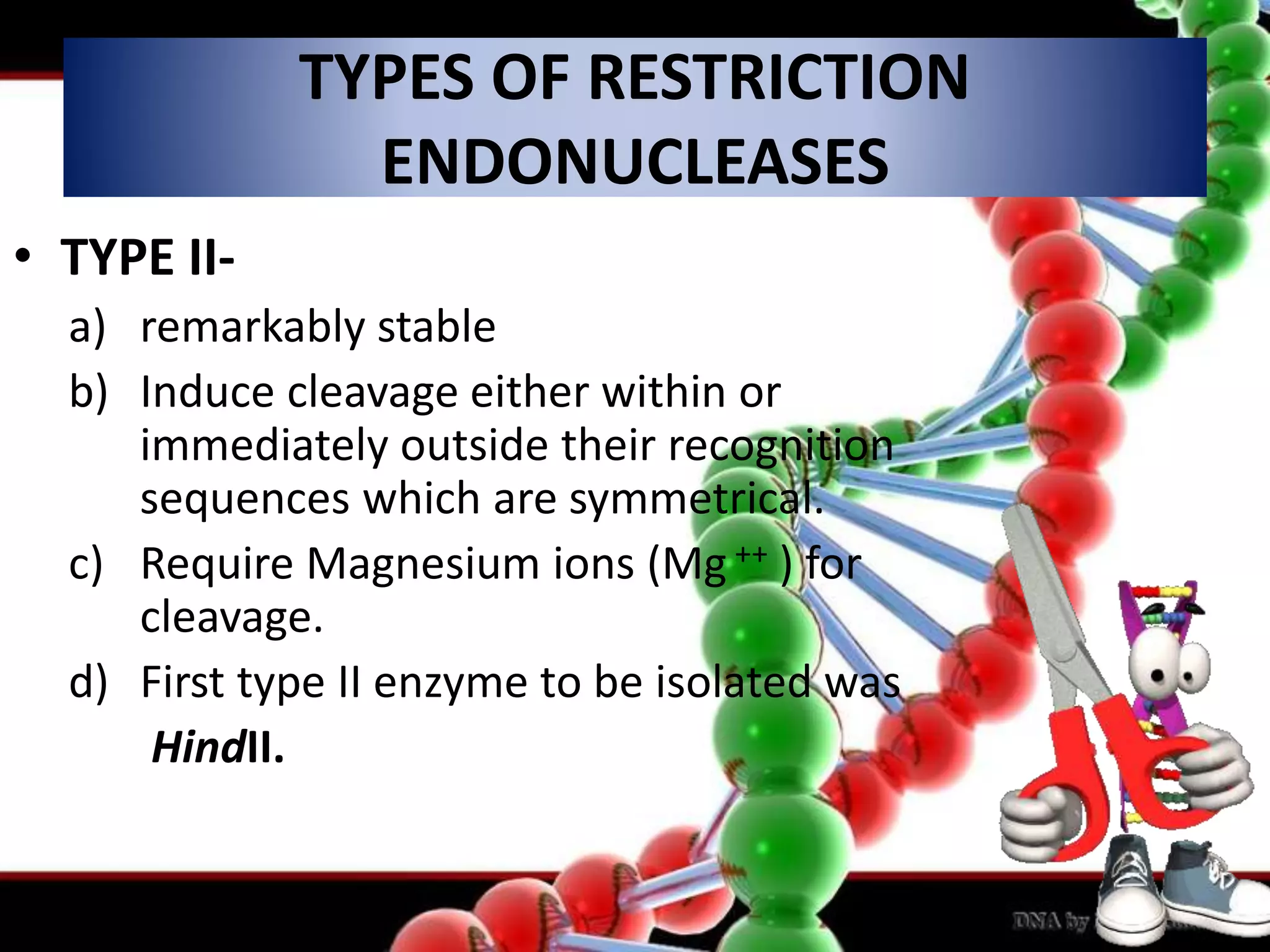 • TYPE II-
a) remarkably stable
b) Induce cleavage either within or
immediately outside their recognition
sequences which are symmetrical.
c) Require Magnesium ions (Mg ++ ) for
cleavage.
d) First type II enzyme to be isolated was
HindII.
TYPES OF RESTRICTION
ENDONUCLEASES
 