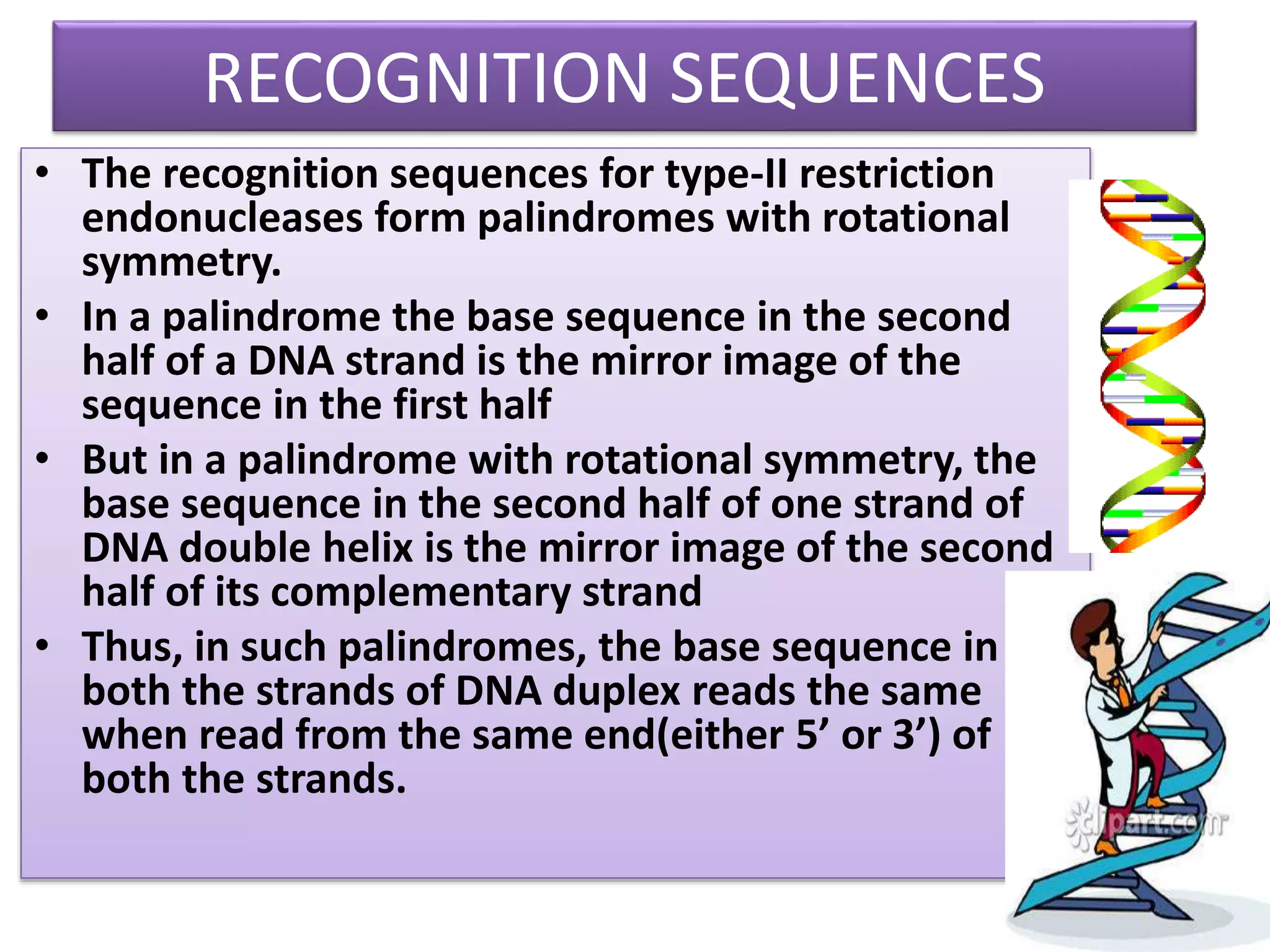 RECOGNITION SEQUENCES
• The recognition sequences for type-II restriction
endonucleases form palindromes with rotational
symmetry.
• In a palindrome the base sequence in the second
half of a DNA strand is the mirror image of the
sequence in the first half
• But in a palindrome with rotational symmetry, the
base sequence in the second half of one strand of
DNA double helix is the mirror image of the second
half of its complementary strand
• Thus, in such palindromes, the base sequence in
both the strands of DNA duplex reads the same
when read from the same end(either 5’ or 3’) of
both the strands.
 