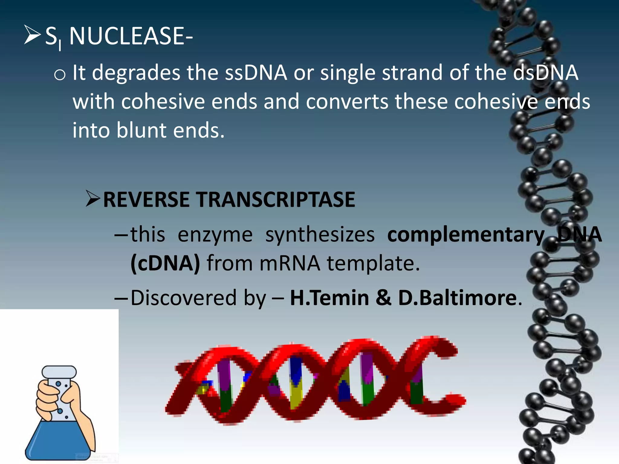 SI NUCLEASE-
o It degrades the ssDNA or single strand of the dsDNA
with cohesive ends and converts these cohesive ends
into blunt ends.
REVERSE TRANSCRIPTASE
–this enzyme synthesizes complementary DNA
(cDNA) from mRNA template.
–Discovered by – H.Temin & D.Baltimore.
 