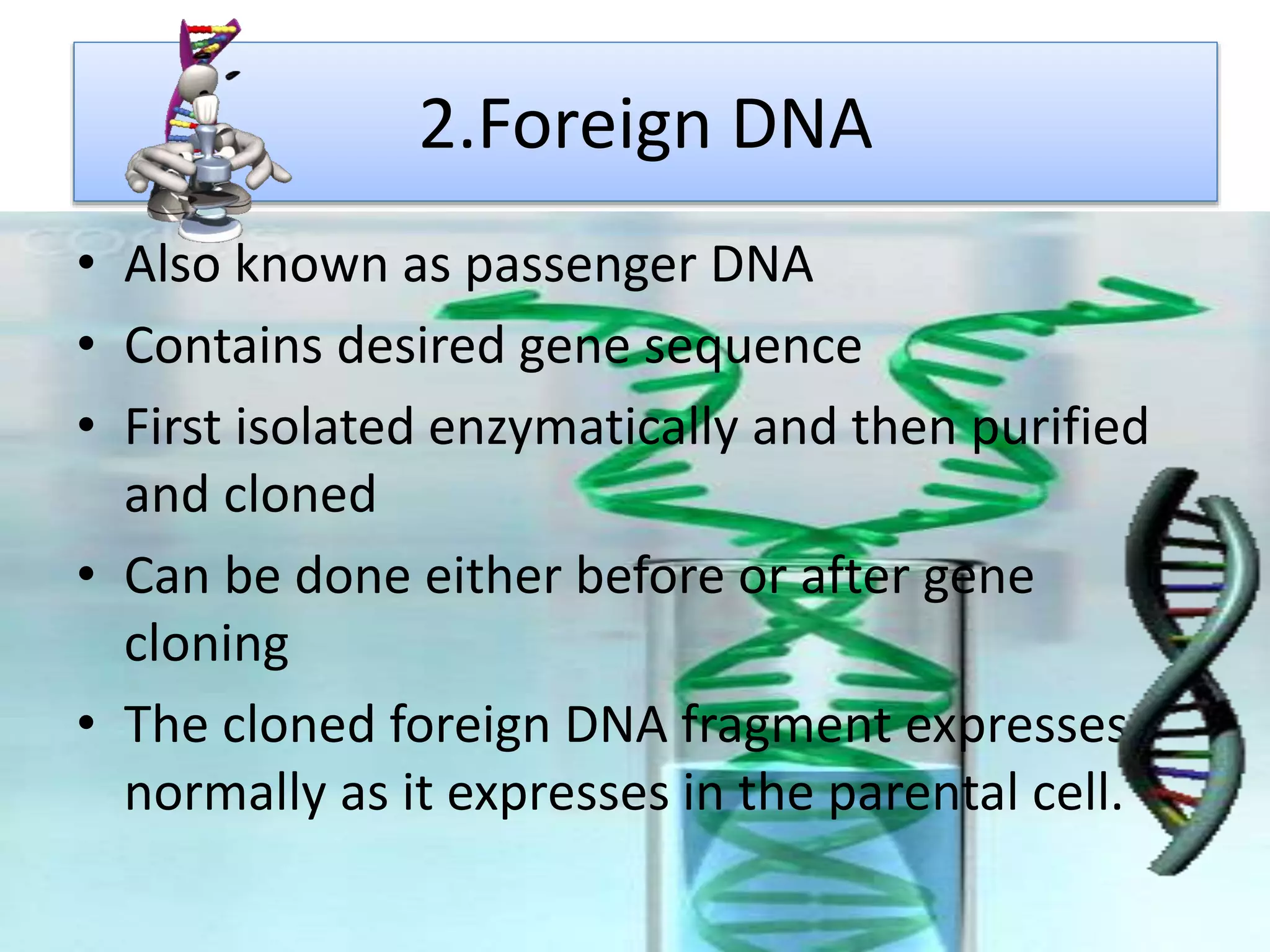 2.Foreign DNA
• Also known as passenger DNA
• Contains desired gene sequence
• First isolated enzymatically and then purified
and cloned
• Can be done either before or after gene
cloning
• The cloned foreign DNA fragment expresses
normally as it expresses in the parental cell.
 