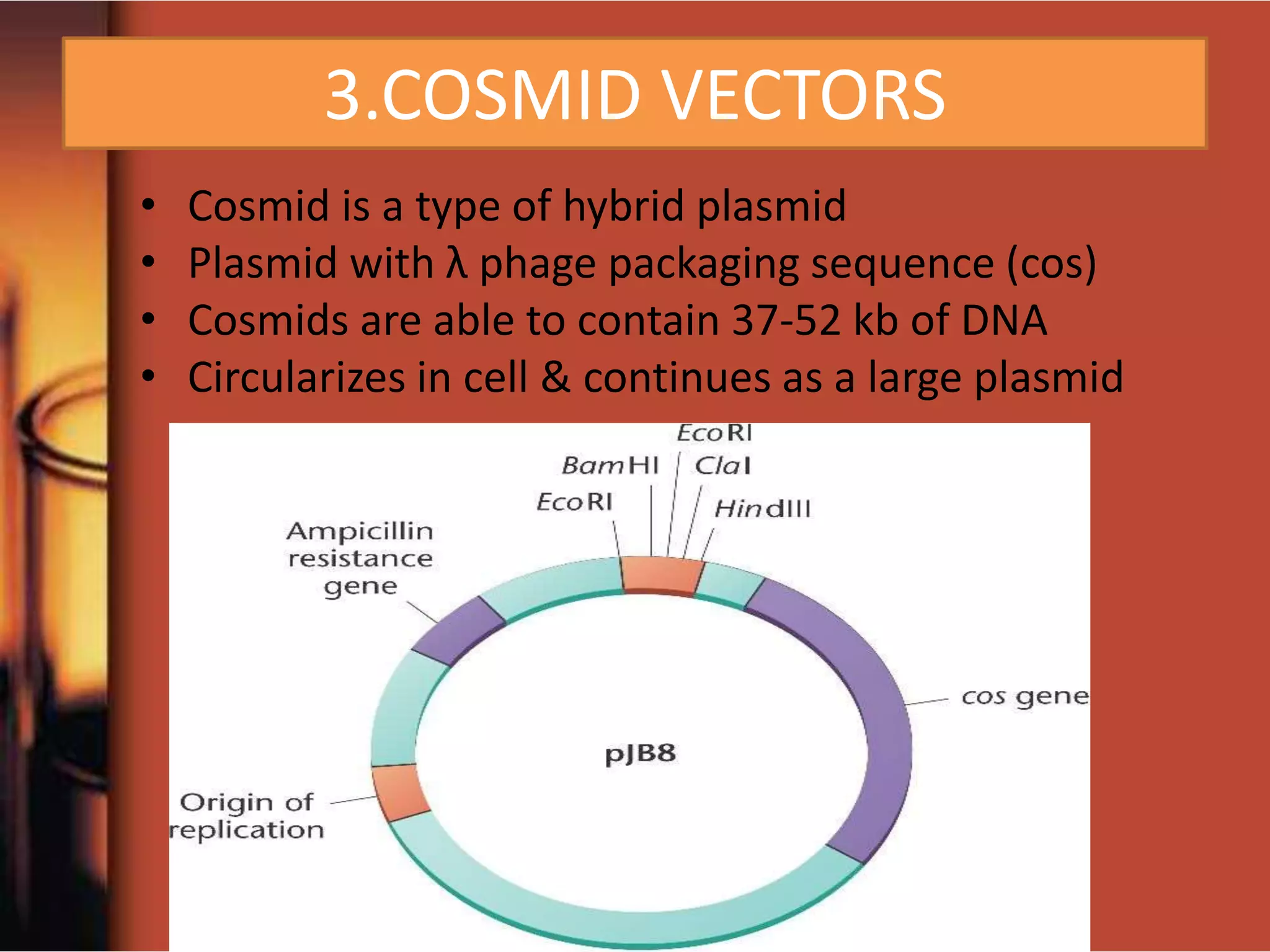 3.COSMID VECTORS
• Cosmid is a type of hybrid plasmid
• Plasmid with λ phage packaging sequence (cos)
• Cosmids are able to contain 37-52 kb of DNA
• Circularizes in cell & continues as a large plasmid
 