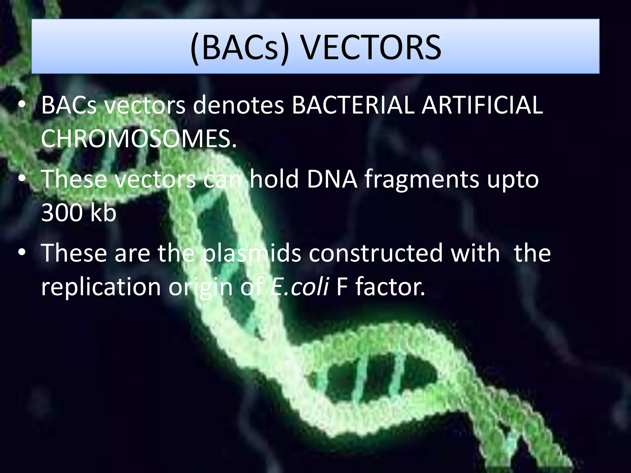 (BACs) VECTORS
• BACs vectors denotes BACTERIAL ARTIFICIAL
CHROMOSOMES.
• These vectors can hold DNA fragments upto
300 kb
• These are the plasmids constructed with the
replication origin of E.coli F factor.
 